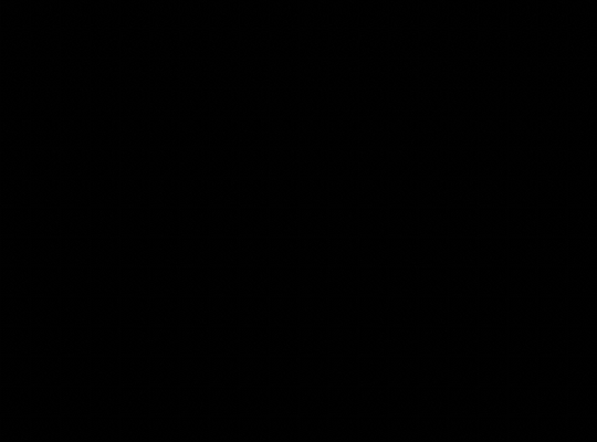 Absolit Black